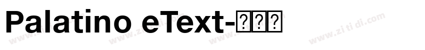 Palatino eText字体转换 Palatino eText字体转换